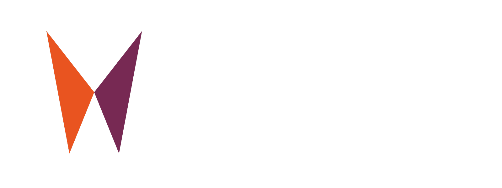 Vvavy logo